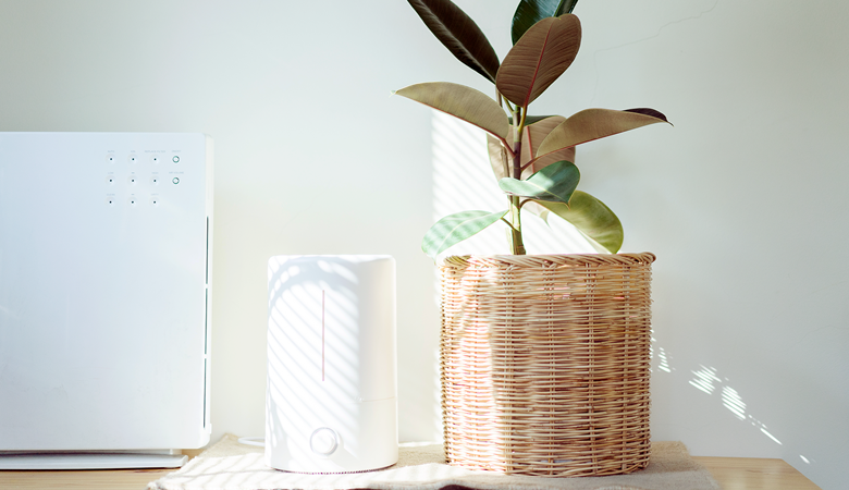 Should You Get An Air Purifier?