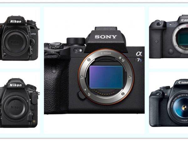 Top 9 Digital Cameras In 2022