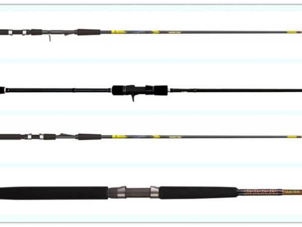 What Are The Top 9 Fishing Rods You Prefer?